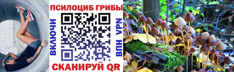 наркотики Спасск-Рязанский Псилоцибиновые грибы мицелий